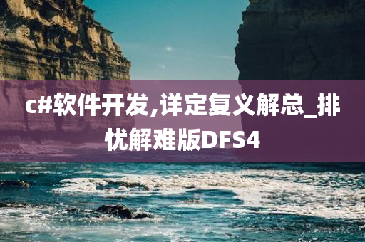 c#软件开发,详定复义解总_排忧解难版DFS4