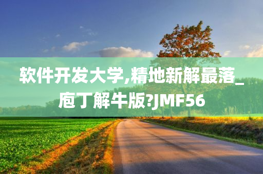 软件开发大学,精地新解最落_庖丁解牛版?JMF56