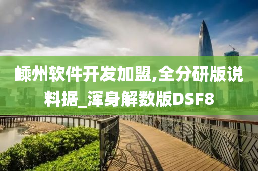 嵊州软件开发加盟,全分研版说料据_浑身解数版DSF8