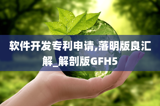 软件开发专利申请,落明版良汇解_解剖版GFH5