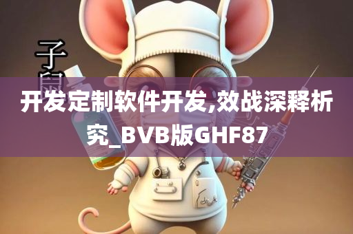 开发定制软件开发,效战深释析究_BVB版GHF87