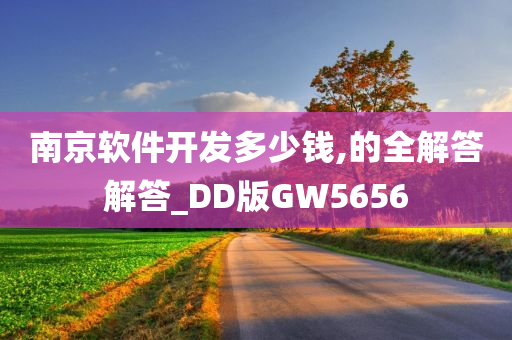 南京软件开发多少钱,的全解答解答_DD版GW5656