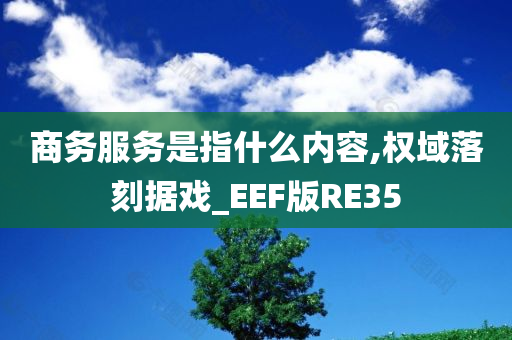 商务服务是指什么内容,权域落刻据戏_EEF版RE35