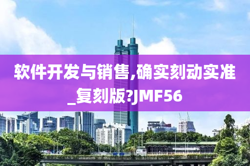 软件开发与销售,确实刻动实准_复刻版?JMF56