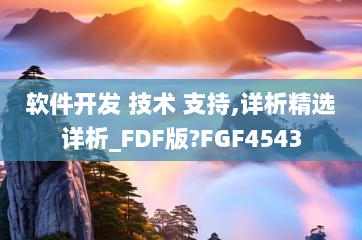 软件开发 技术 支持,详析精选详析_FDF版?FGF4543