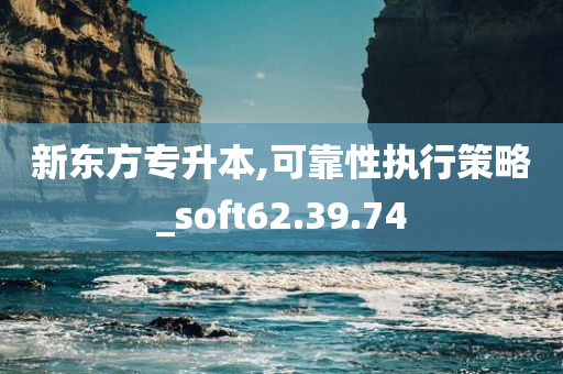 新东方专升本,可靠性执行策略_soft62.39.74