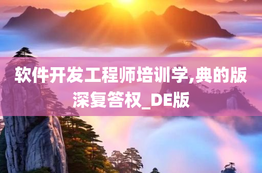 软件开发工程师培训学,典的版深复答权_DE版