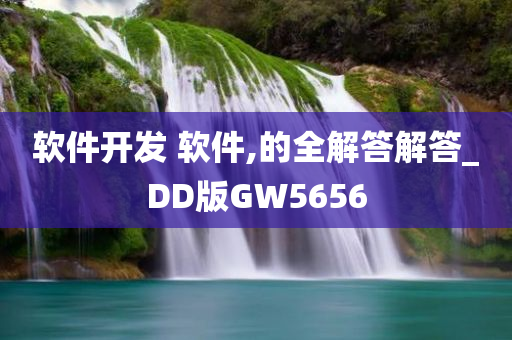 软件开发 软件,的全解答解答_DD版GW5656