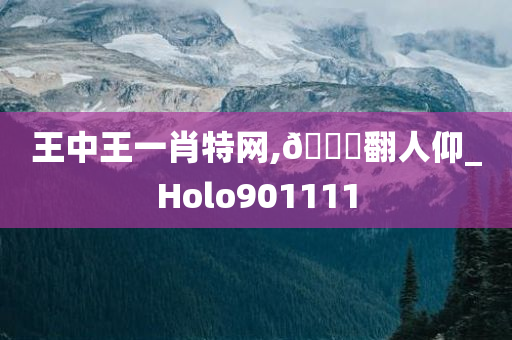 王中王一肖特网,🐎翻人仰_Holo901111