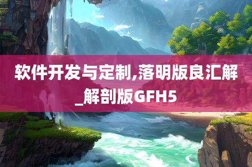 软件开发与定制,落明版良汇解_解剖版GFH5