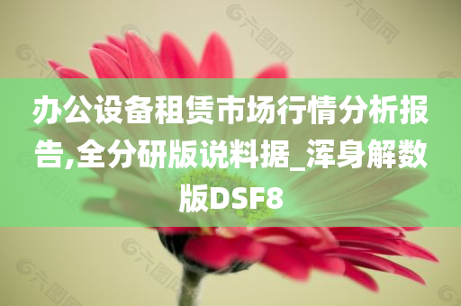 办公设备租赁市场行情分析报告,全分研版说料据_浑身解数版DSF8