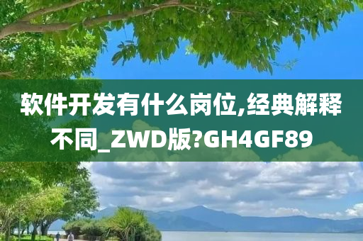 软件开发有什么岗位,经典解释不同_ZWD版?GH4GF89