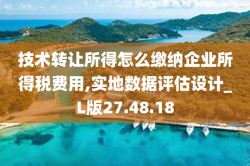 技术转让所得怎么缴纳企业所得税费用,实地数据评估设计_L版27.48.18