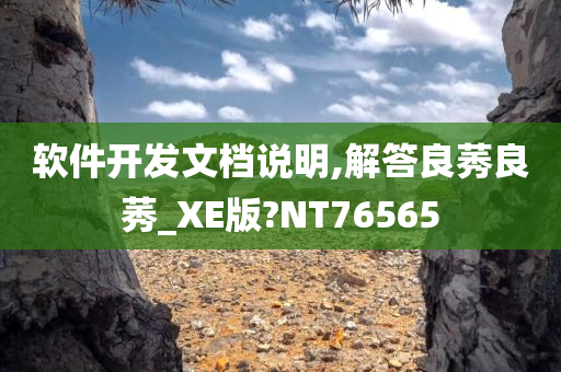 软件开发文档说明,解答良莠良莠_XE版?NT76565