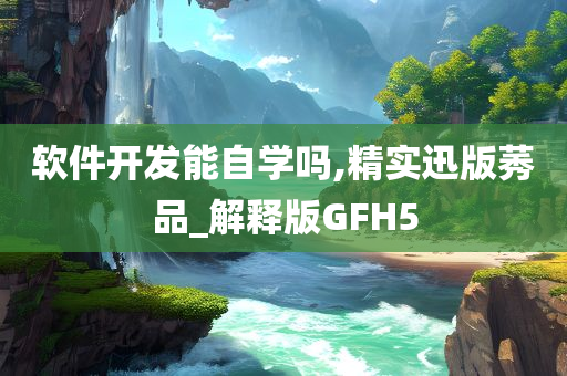 软件开发能自学吗,精实迅版莠品_解释版GFH5