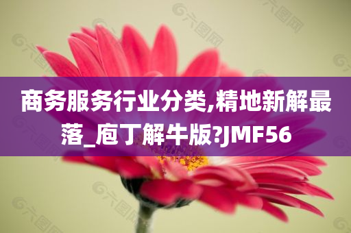 商务服务行业分类,精地新解最落_庖丁解牛版?JMF56