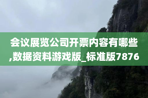 会议展览公司开票内容有哪些,数据资料游戏版_标准版7876