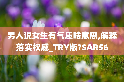 男人说女生有气质啥意思,解释落实权威_TRY版?SAR56