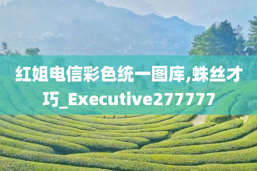 红姐电信彩色统一图库,蛛丝才巧_Executive277777