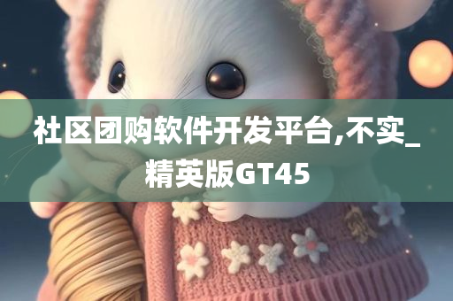 社区团购软件开发平台,不实_精英版GT45