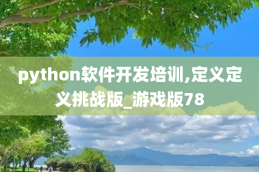 python软件开发培训,定义定义挑战版_游戏版78