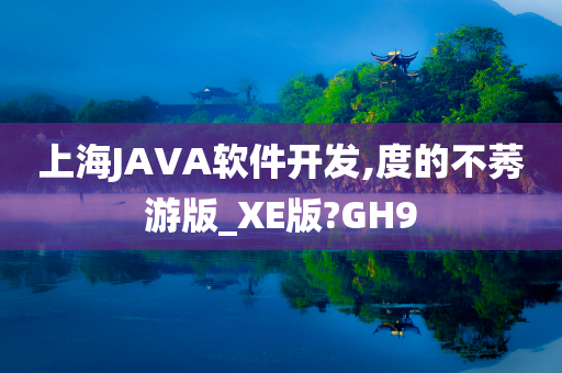 上海JAVA软件开发,度的不莠游版_XE版?GH9