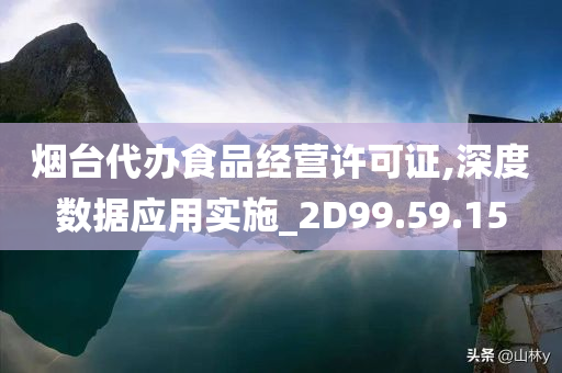 烟台代办食品经营许可证,深度数据应用实施_2D99.59.15