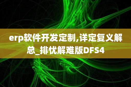 erp软件开发定制,详定复义解总_排忧解难版DFS4