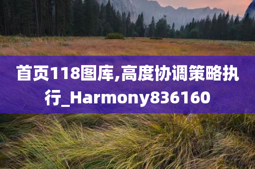 首页118图库,高度协调策略执行_Harmony836160