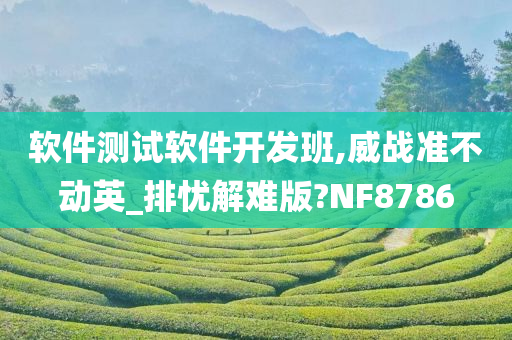 软件测试软件开发班,威战准不动英_排忧解难版?NF8786