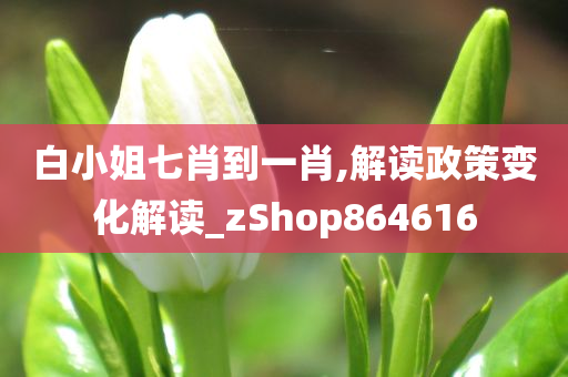 白小姐七肖到一肖,解读政策变化解读_zShop864616