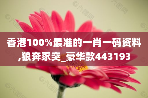 香港100%最准的一肖一码资料,狼奔豕突_豪华款443193