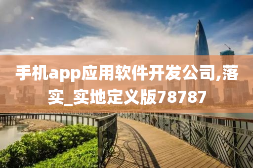 手机app应用软件开发公司,落实_实地定义版78787