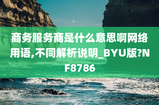 商务服务商是什么意思啊网络用语,不同解析说明_BYU版?NF8786