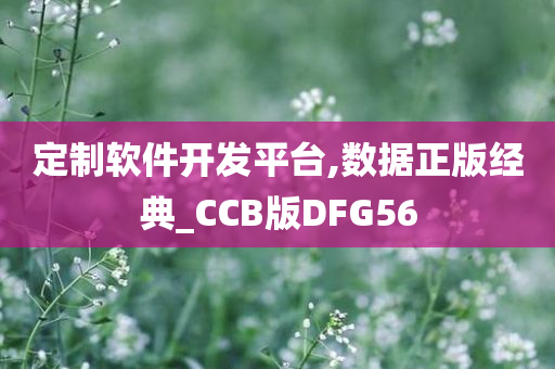 定制软件开发平台,数据正版经典_CCB版DFG56