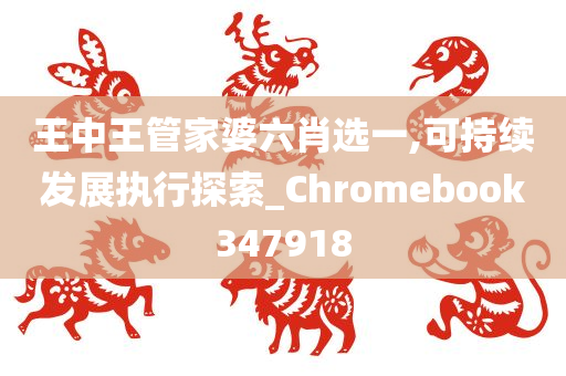 王中王管家婆六肖选一,可持续发展执行探索_Chromebook347918