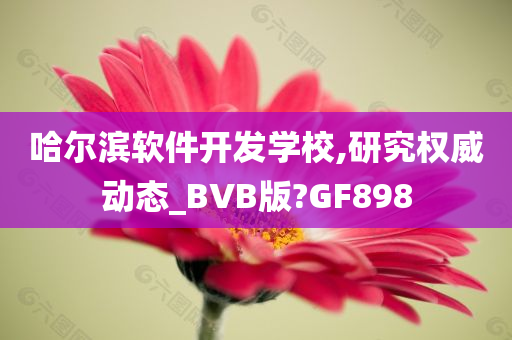 哈尔滨软件开发学校,研究权威动态_BVB版?GF898