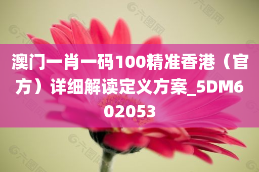 澳门一肖一码100精准香港（官方）详细解读定义方案_5DM602053