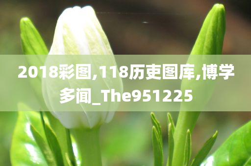 2018彩图,118历吏图库,博学多闻_The951225