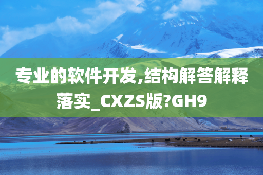 专业的软件开发,结构解答解释落实_CXZS版?GH9