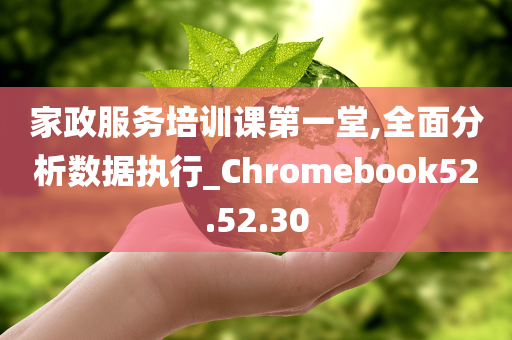 家政服务培训课第一堂,全面分析数据执行_Chromebook52.52.30