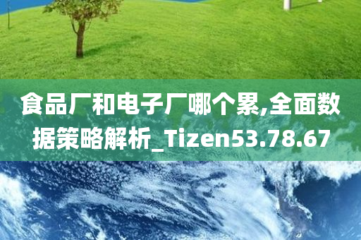 食品厂和电子厂哪个累,全面数据策略解析_Tizen53.78.67