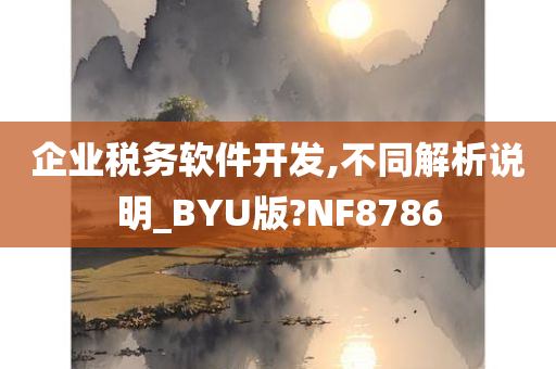 企业税务软件开发,不同解析说明_BYU版?NF8786