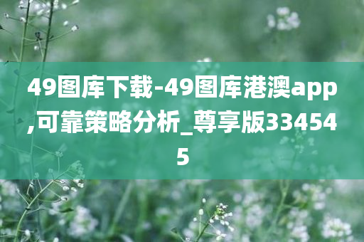 49图库下载-49图库港澳app,可靠策略分析_尊享版334545