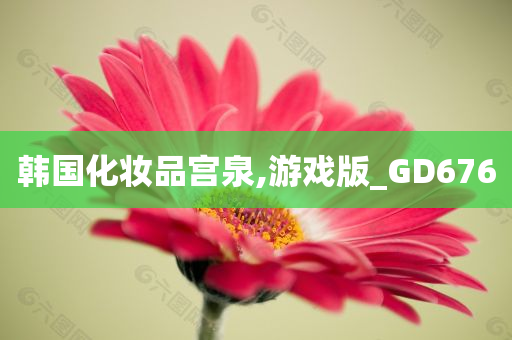 韩国化妆品宫泉,游戏版_GD676