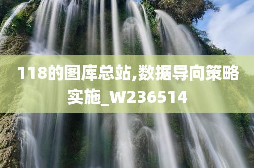 118的图库总站,数据导向策略实施_W236514