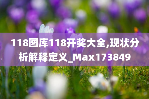 118图库118开奖大全,现状分析解释定义_Max173849