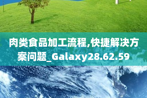 肉类食品加工流程,快捷解决方案问题_Galaxy28.62.59