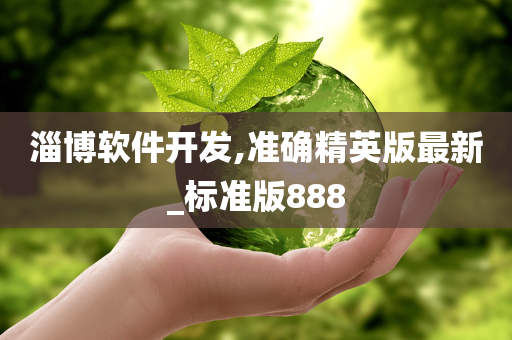 淄博软件开发,准确精英版最新_标准版888