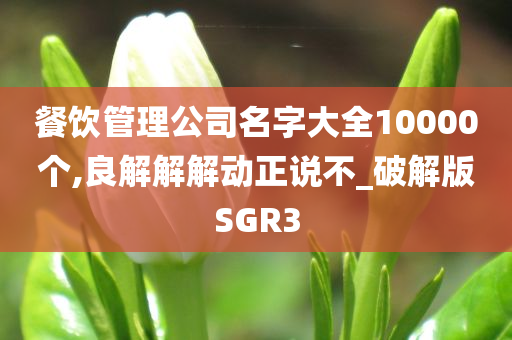 餐饮管理公司名字大全10000个,良解解解动正说不_破解版SGR3